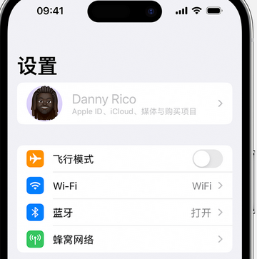 乌达appleID维修服务iPhone设置中Apple ID显示为灰色无法使用