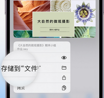 乌达apple维修中心分享iPhone文件应用中存储和找到下载文件