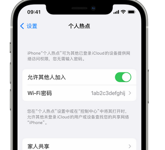 乌达apple服务站点分享iPhone上个人热点丢失了怎么办 