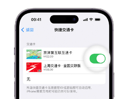 乌达apple维修点分享iPhone上更换Apple Pay快捷交通卡手绘卡面 