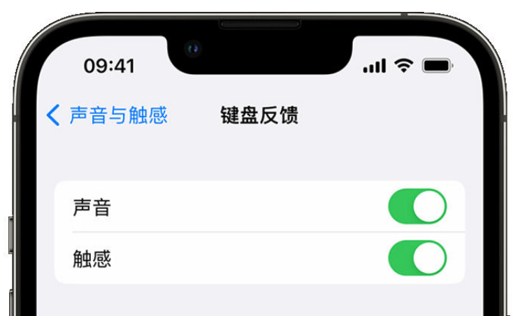 乌达苹果手机维修分享iPhone 14触感键盘使用方法 