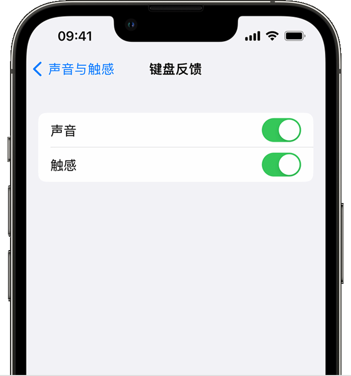 乌达苹果14维修店分享如何在 iPhone 14 机型中使用触感键盘 