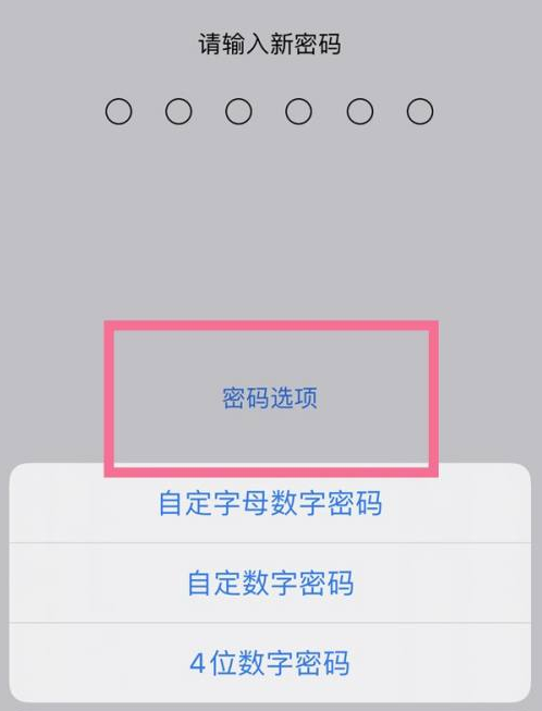 乌达苹果14维修分享iPhone 14plus设置密码的方法 