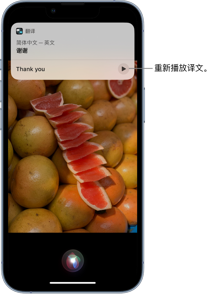 乌达苹果14维修分享 iPhone 14 机型中使用 Siri：了解 Siri 能帮你做什么 