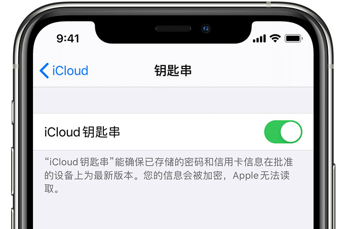 乌达苹果手机维修分享在 iPhone 上开启 iCloud 钥匙串之后会储存哪些信息 