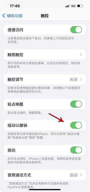 乌达苹果手机维修分享iPhone手机如何设置摇一摇删除文字 